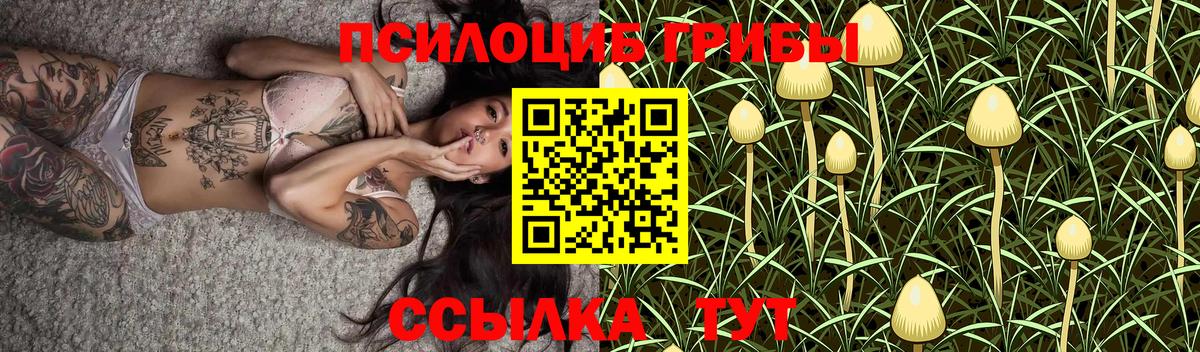 Медногорск  Псилоцибиновые грибы прущие грибы  Вход с VPN 